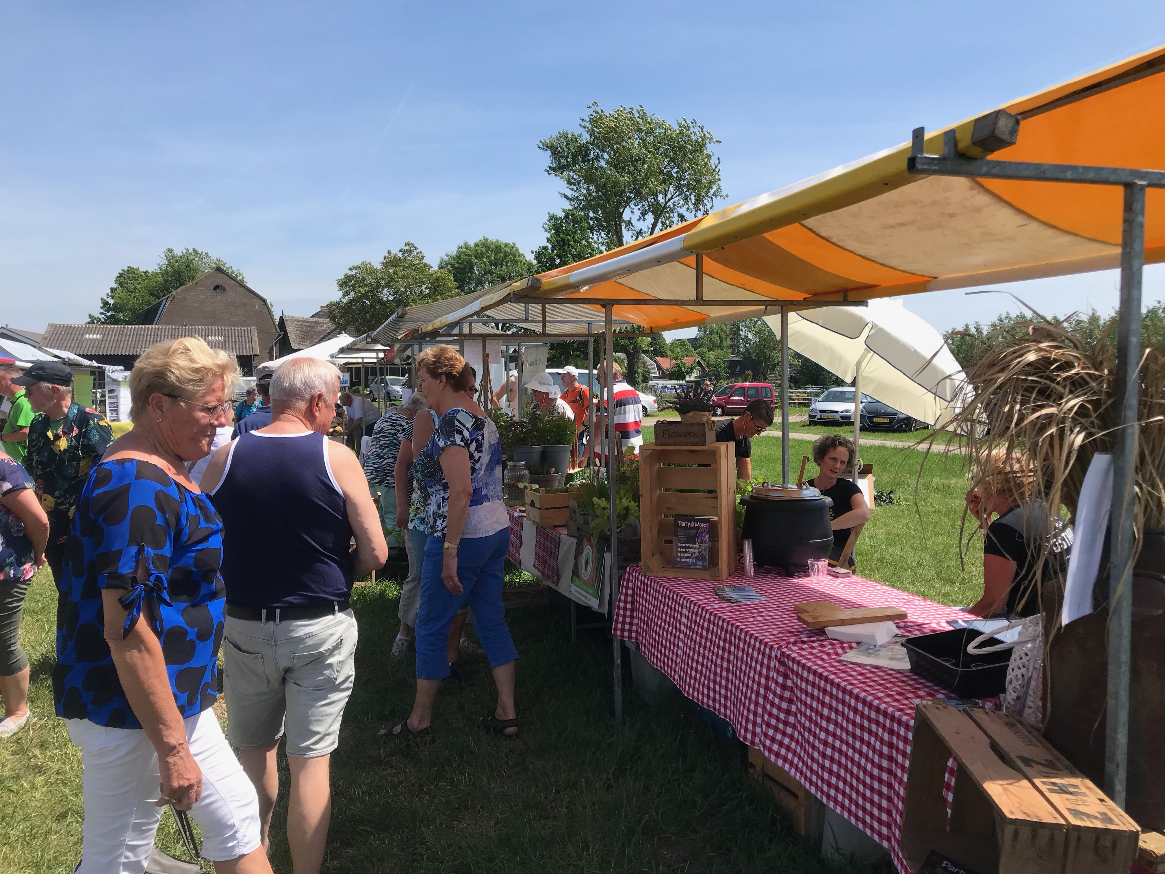 Zeer Geslaagde Editie Streekparade En Vierdaagse Alblasserwaard